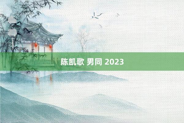 陈凯歌 男同 2023