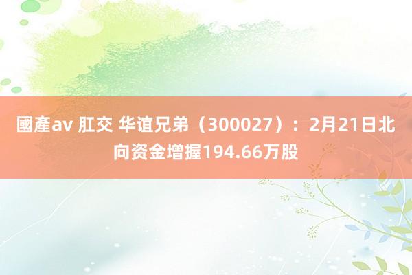 國產av 肛交 华谊兄弟（300027）：2月21日北向资金增握194.66万股