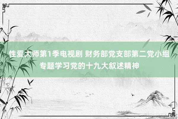 性爱大师第1季电视剧 财务部党支部第二党小组专题学习党的十九大叙述精神